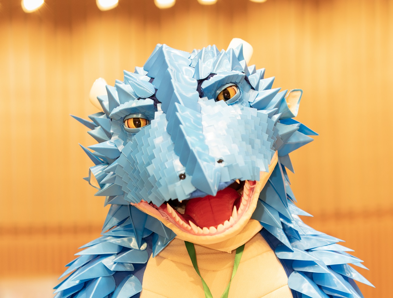 ドラゴンの着ぐるみ　他